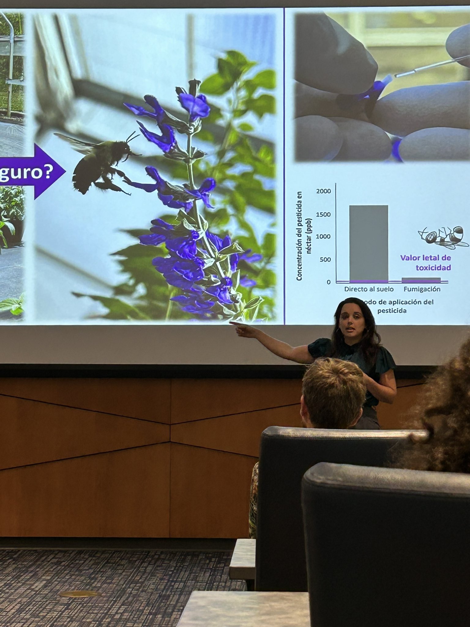 Three Minute Thesis presentation