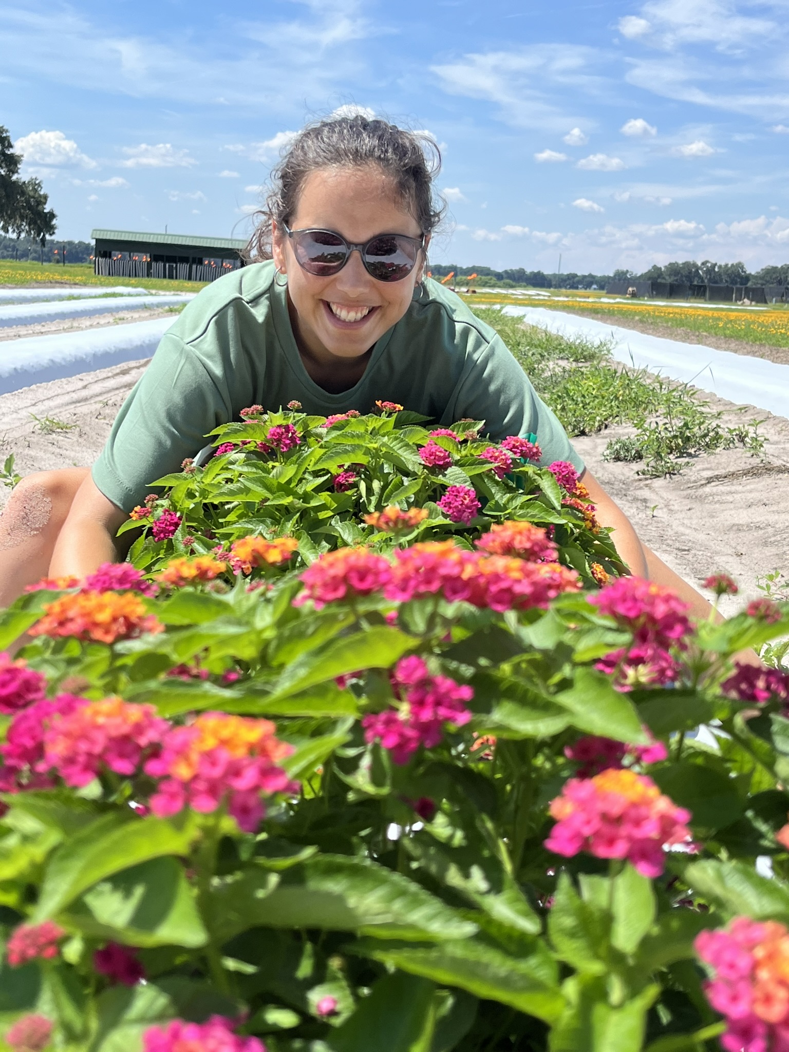 Working with ornamental plants