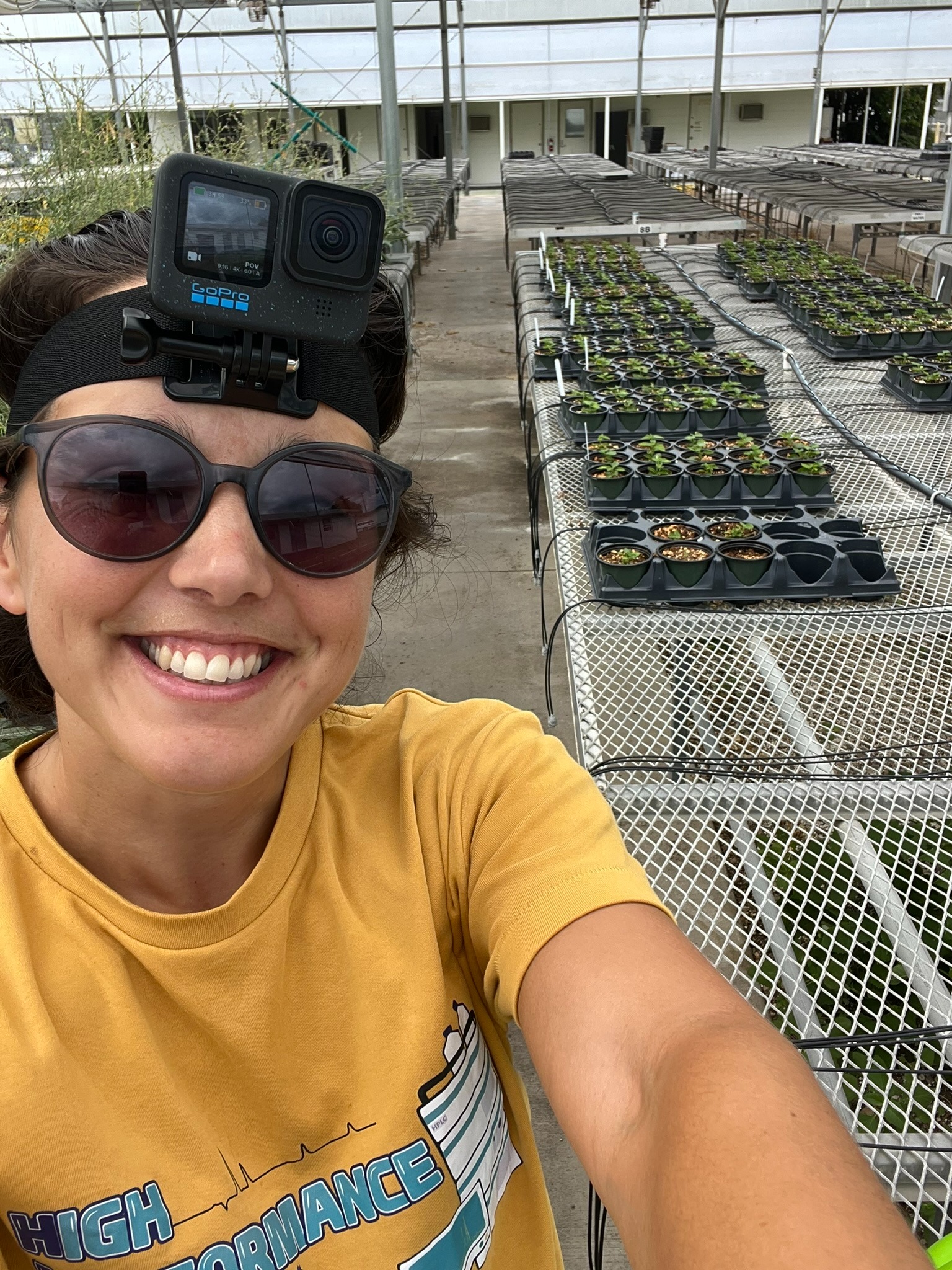 Field science communication